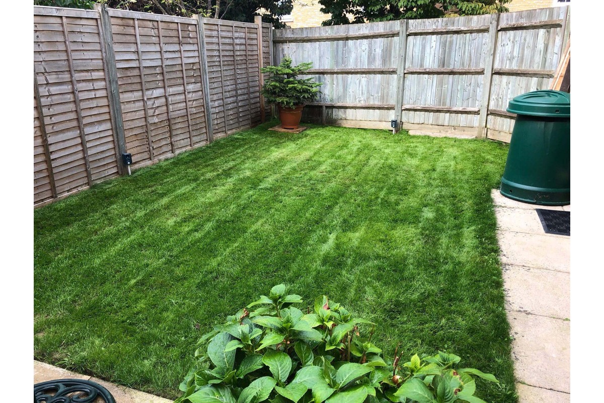 Lawn renovation